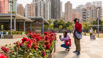 园中植物开花时，鲜花散发清香，令园景更迷人。